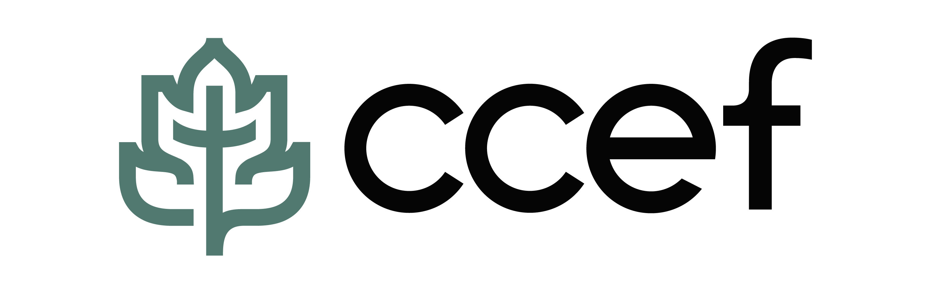 ccef logo new